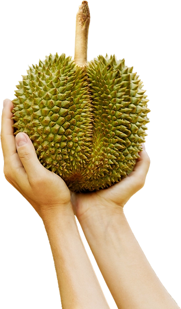 durian-fruit-held-in-natural-outdoor-setting-2026-01-05-05-37-23-utc