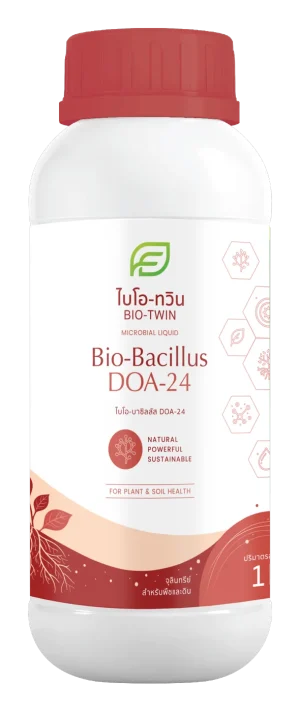 Bacillus Subtilis DOA-24