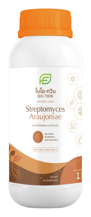 Streptomyces Araujoniae