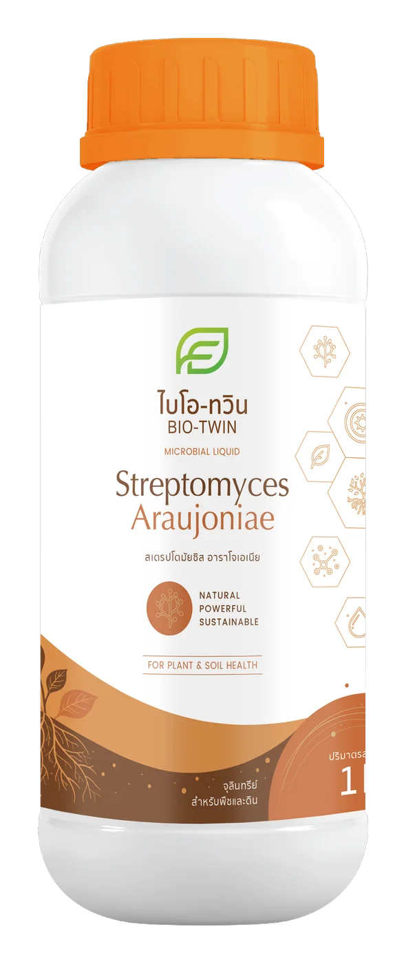 Streptomyces Araujoniae