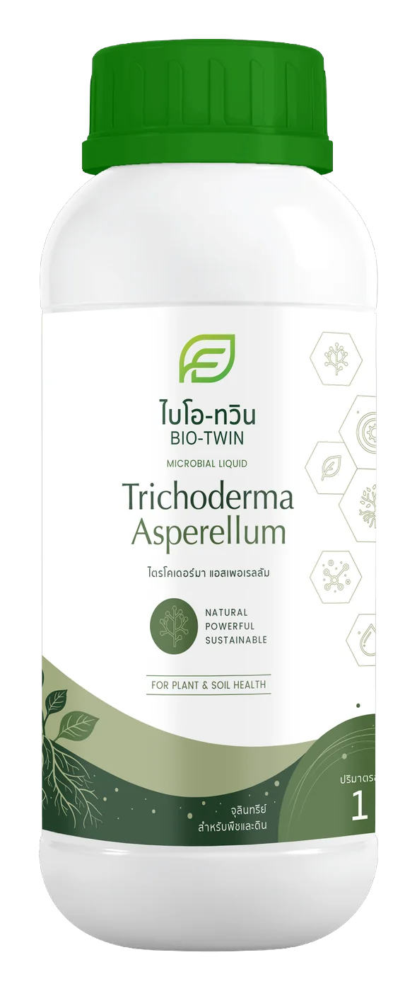 Trichoderma Asperellum