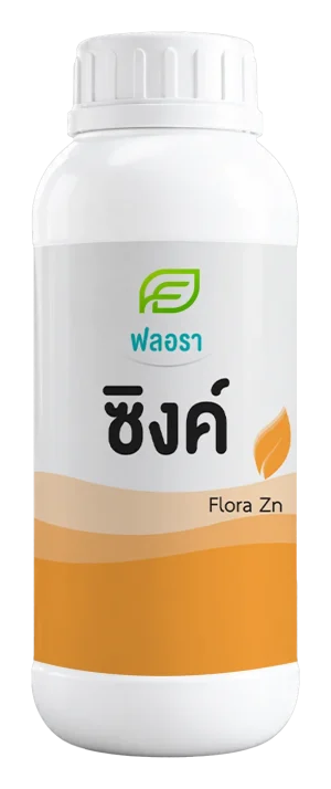 ฟลอรา ซิงค์
