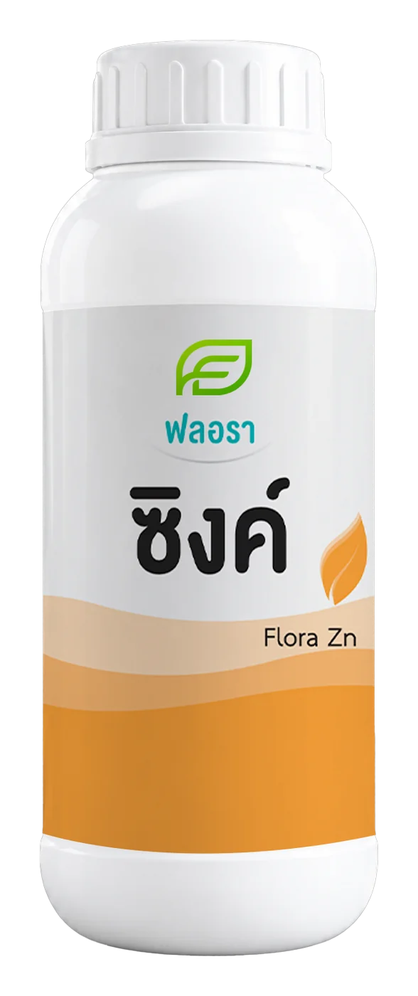 ฟลอรา ซิงค์