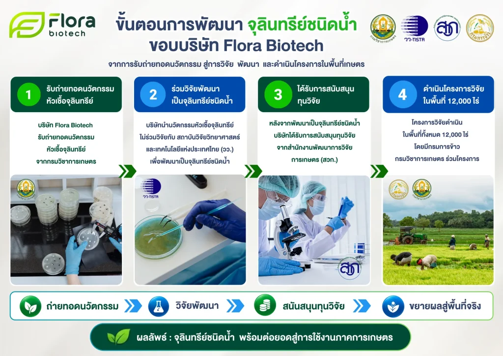 การพัฒนาและผลิตจุลินทรีย์